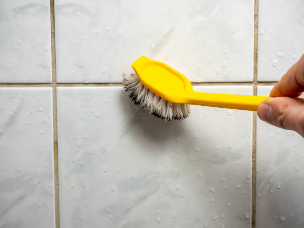 Best Mold Removal Company Near Me  in Sun Prairie, MT