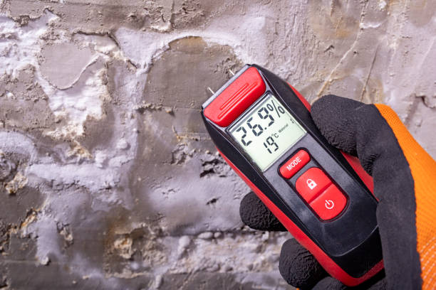 Best Emergency Mold Removal  in Sun Prairie, MT